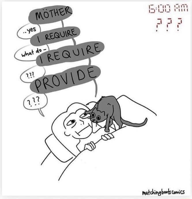 MÖTHER ..yes I REQUIRE what do- I REQUIRE ??? PROVIDE ??? 6:00 AM ??? matchingboots comics