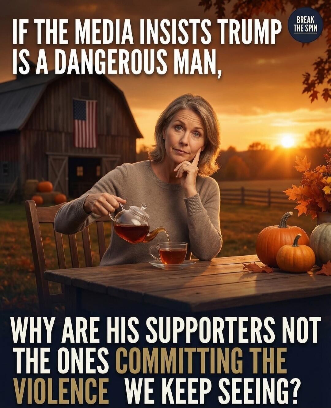 IF THE MEDIA INSISTS TRUMP IS A DANGEROUS MAN, WHY ARE HIS SUPPORTERS NOT THE ONES COMMITTING THE VIOLENCE WE KEEP SEEING? BREAK THE SPIN