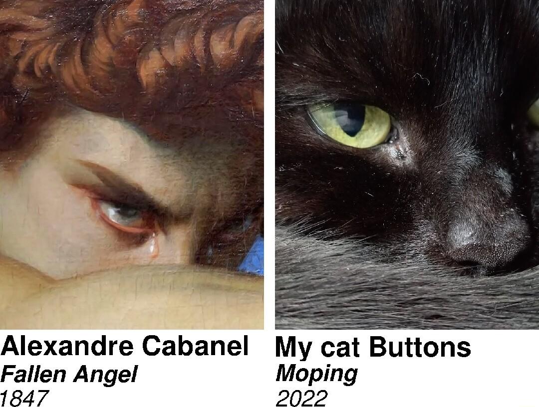 My cat Buttons Moping 0