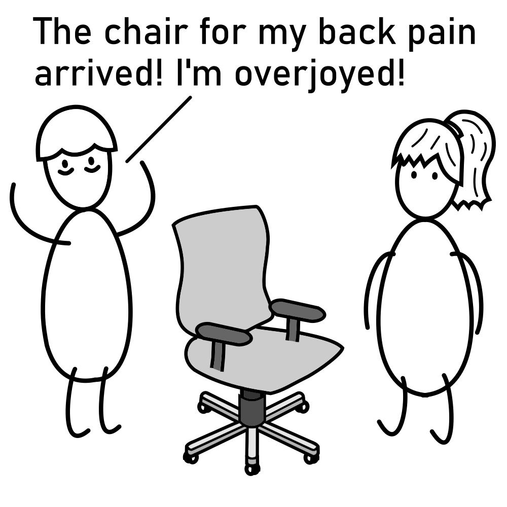 The chair for my back pain arrived Im overjoyed
