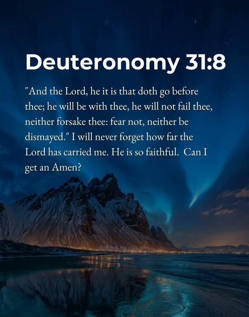 Deuteronomy 31:8
