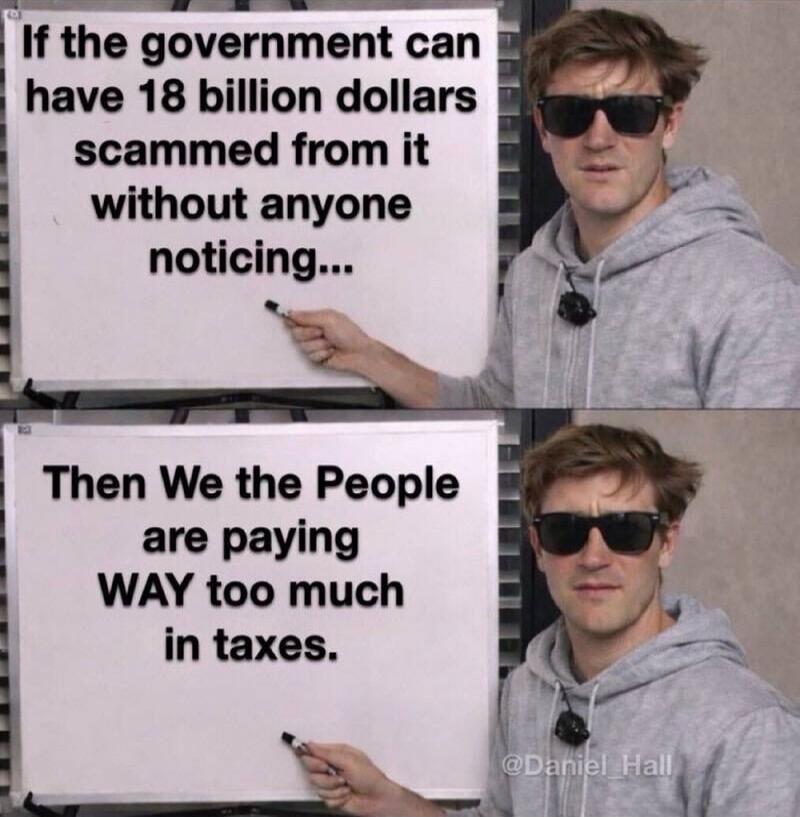 If the government can have 18 billion dollars scammed from it without anyone noticing... Then We the People are paying WAY too much in taxes.