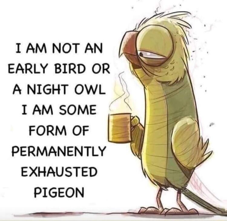 I AM NOT AN EARLY BIRD OR A NIGHT OWL I AM SOME FORM OF PERMANENTLY EXHAUSTED PIGEON