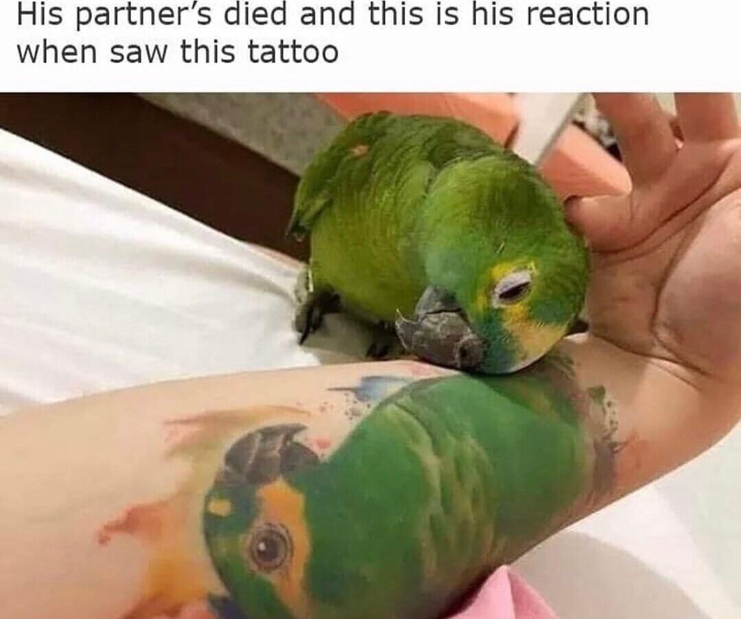 His partners a when saw this tattoo