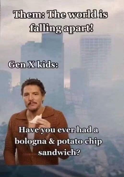 Them: The world is falling apart! Gen X kids: Have you ever had a bologna & potato chip sandwich?