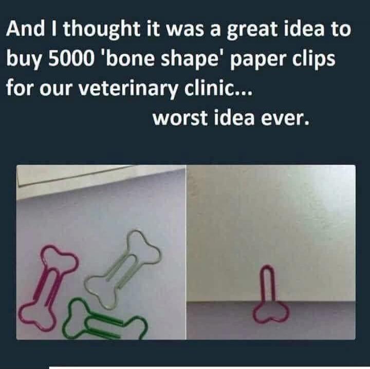 And I thought it was a great idea to buy 5000 'bone shape' paper clips for our veterinary clinic... worst idea ever.