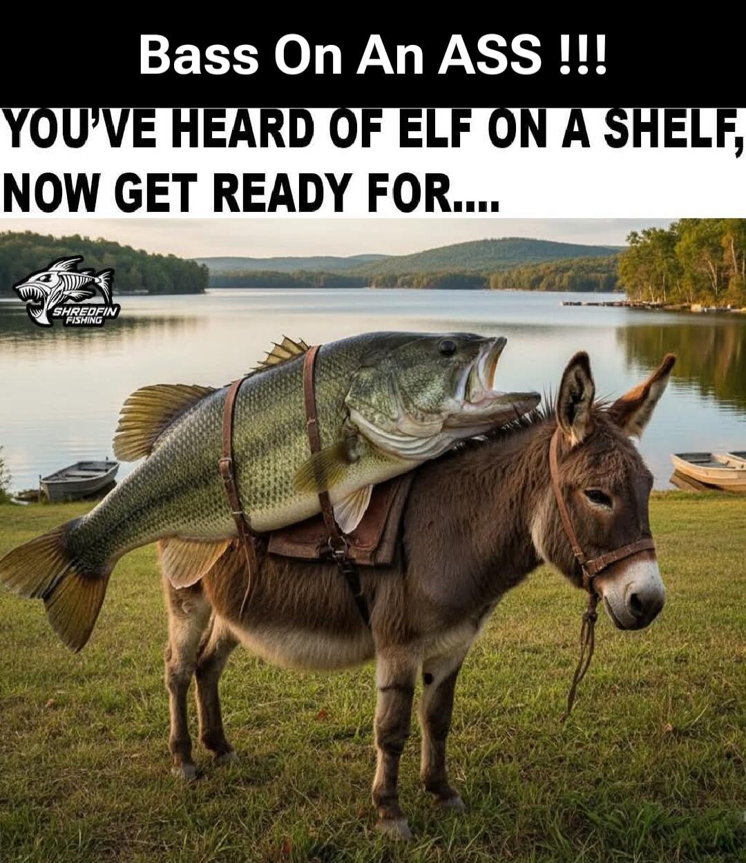 Bass On An ASS !!! YOU'VE HEARD OF ELF ON A SHELF, NOW GET READY FOR....