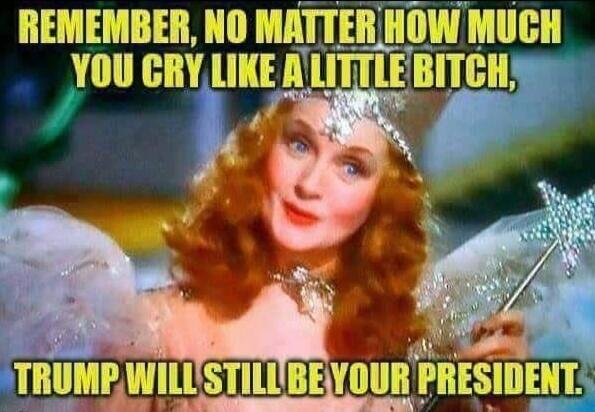 REMEMBER, NO MATTER HOW MUCH YOU CRY LIKE A LITTLE BITCH, TRUMP WILL STILL BE YOUR PRESIDENT.