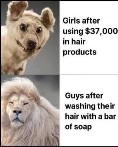 Girls after using $37,000 in hair products
Guys after washing their hair with a bar of soap
