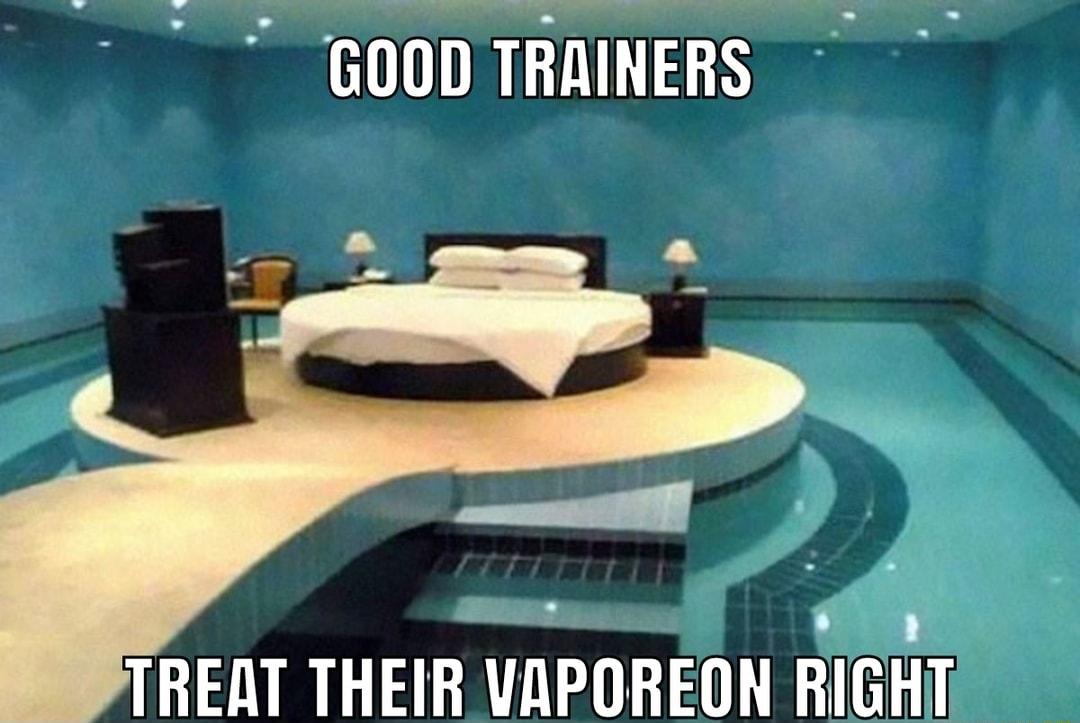 G0OD TRAINERS TREAT THEIR VAPOREON RIGHT