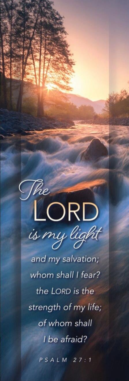 The LORD is my light and my salvation; whom shall I fear? The LORD is the strength of my life; of whom shall I be afraid? PSALM 27:1