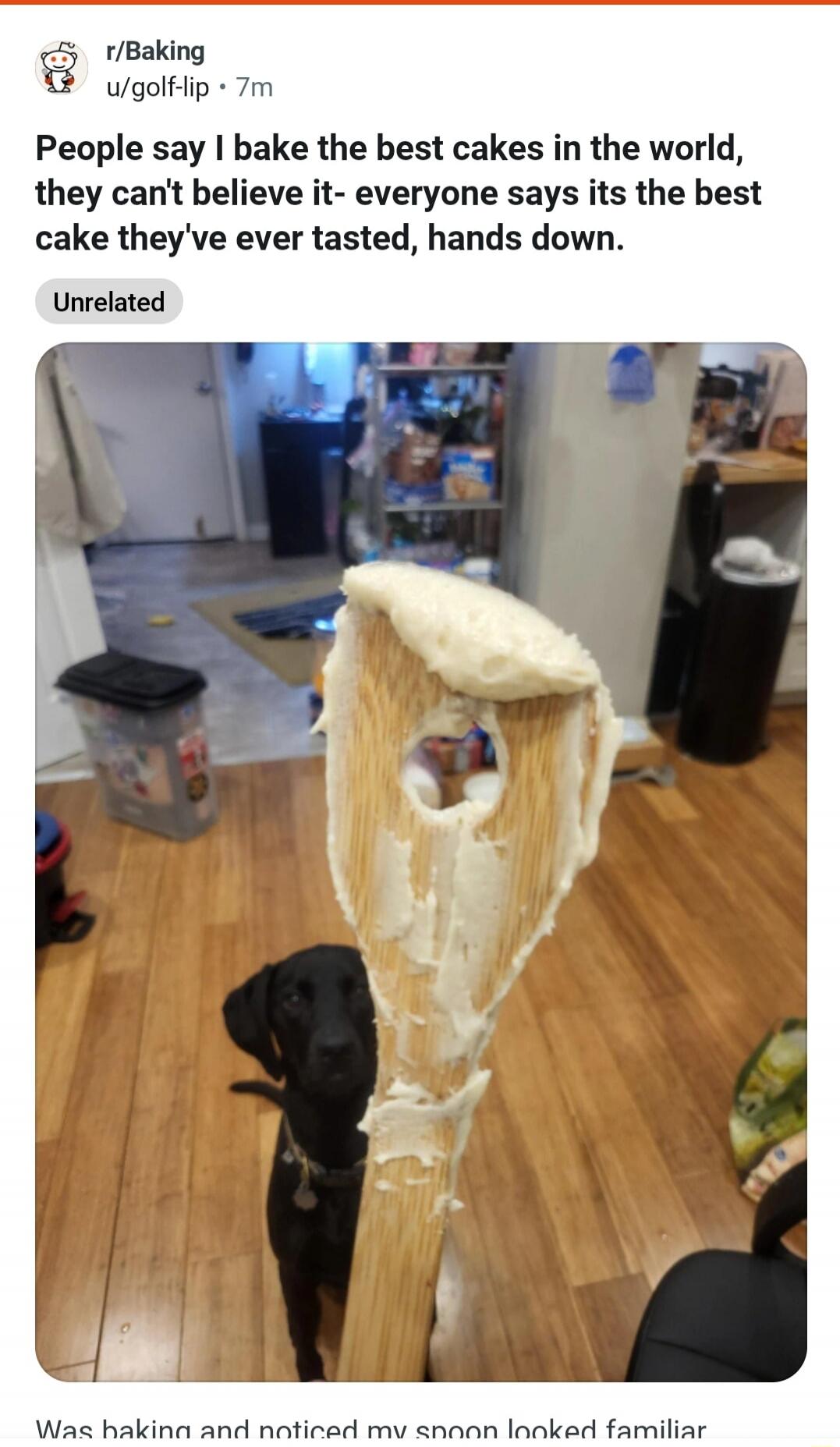 People say I bake the best cakes in the world, they can't believe it- everyone says its the best cake they've ever tasted, hands down.