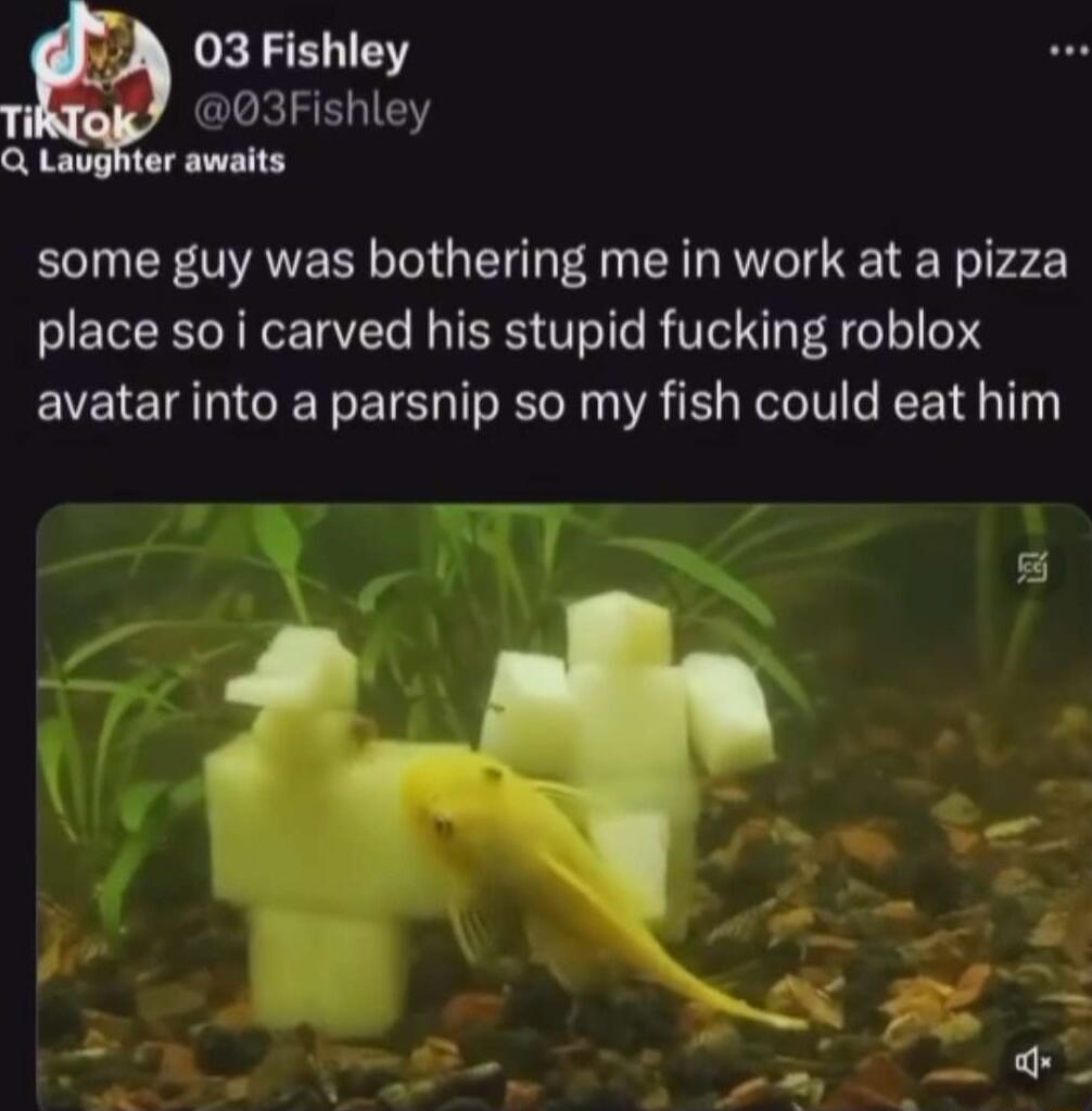 03 Fishley 03Fishley Q Laughter awaits some guy was bothering me in work at a pizza place so i carved his stupid fucking roblox avatar into a parsnip so my fish could eat him