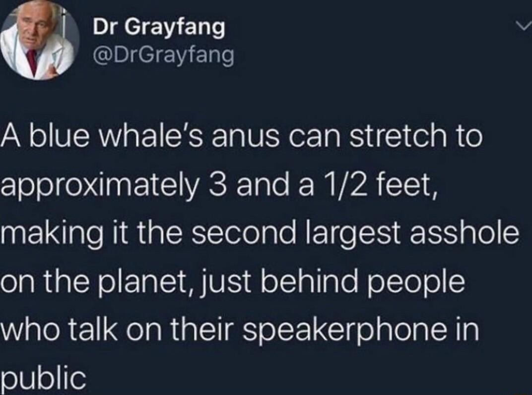 or eEWEDT DrGrayfang A blue whales anus can stretch to approximately 3 and a 12 feet NEI NGRSt lplo N ETo K1 ale on the planet just behind people who talk on their speakerphone in o80 1o
