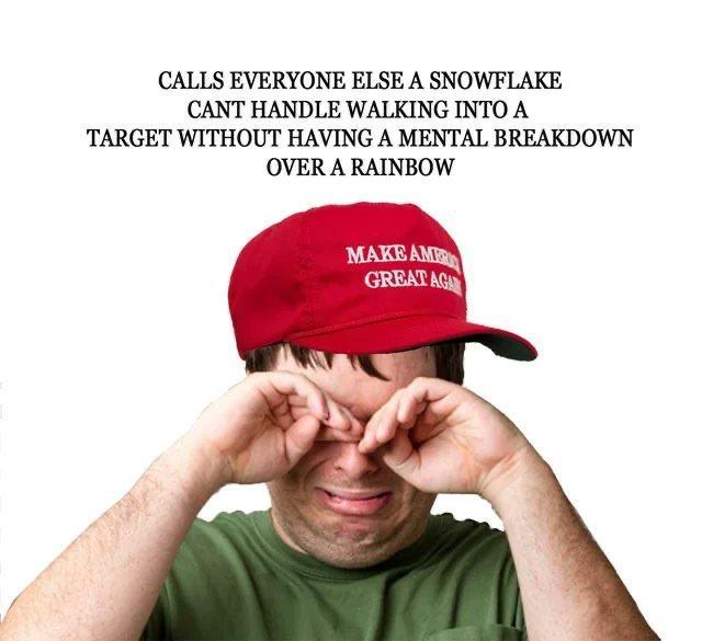 CALLS EVERYONE ELSE A SNOWFLAKE CANT HANDLE WALKING INTO A TARGET WITHOUT HAVING A MENTAL BREAKDOWN OVER A RAINBOW