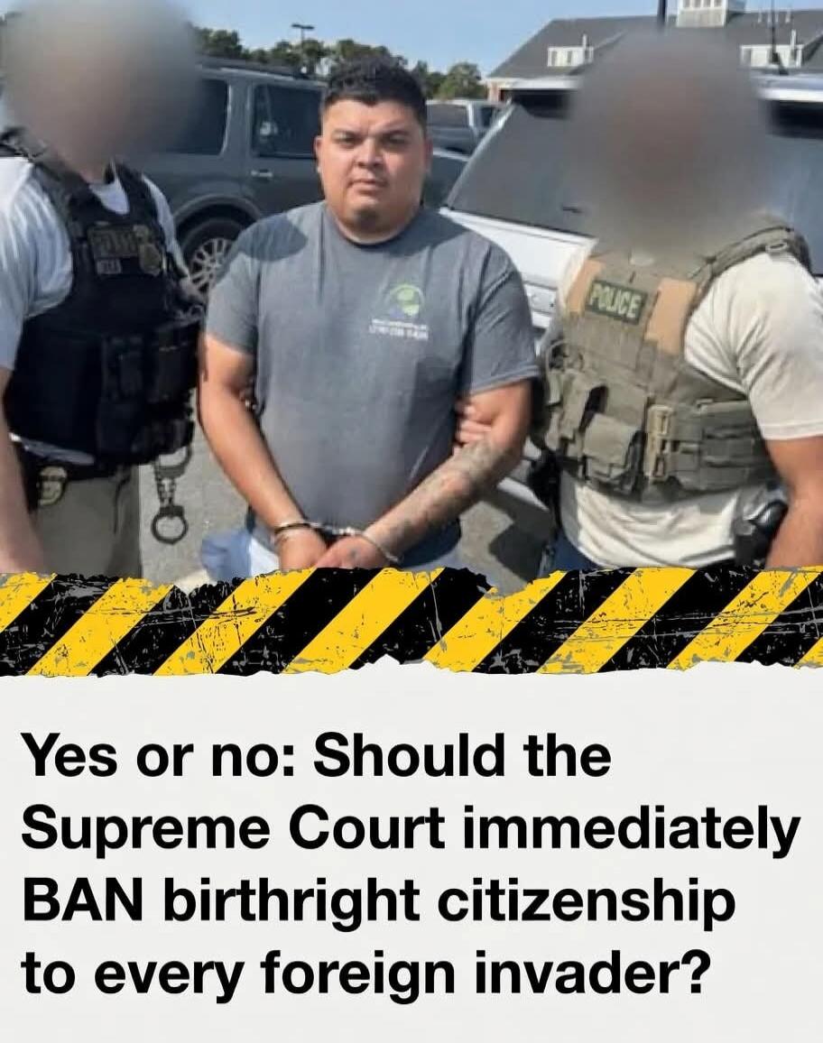 Yes or no: Should the Supreme Court immediately BAN birthright citizenship to every foreign invader?