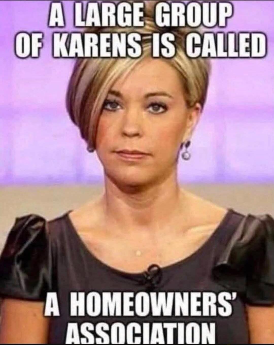 A LARGE GROUP OF KARENS IS CALLED A HOMEOWNERS' ASSOCIATION