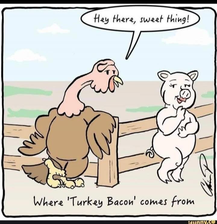 Hey there, sweet thing! Where 'Turkey Bacon' comes from