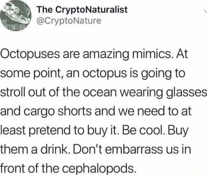The CryptoNaturalist CryptoNature Octopuses are amazing mimics At some point an octopus is going to stroll out of the ocean wearing glasses and cargo shorts and we need to at least pretend to buy it Be cool Buy them a drink Dont embarrass us in front of the cephalopods