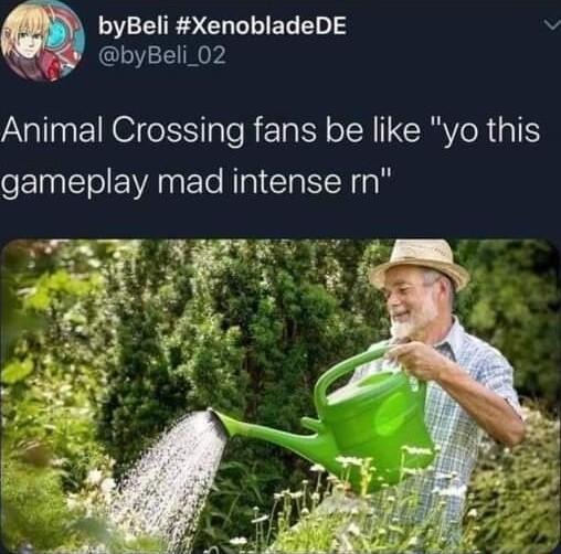 EEIESCOELIES el Vv a3 byBeli_02 Animal Crossing fans be like yo this gameplay mad intense rn