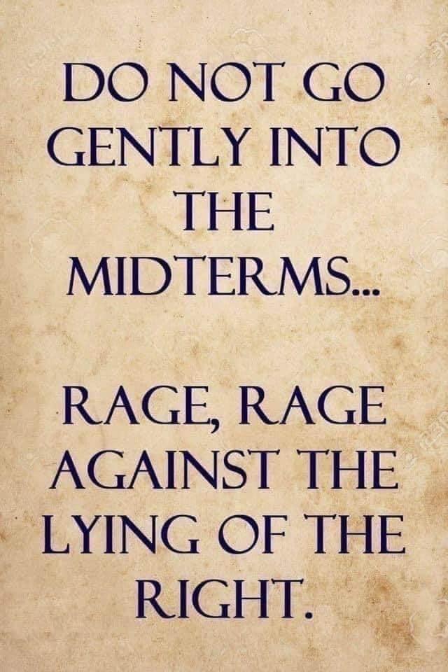 DO NOT GO GENTLY INTO THE MIDTERMS RAGE RAGE AGAINST THE LYING OF THE RIGHT ng