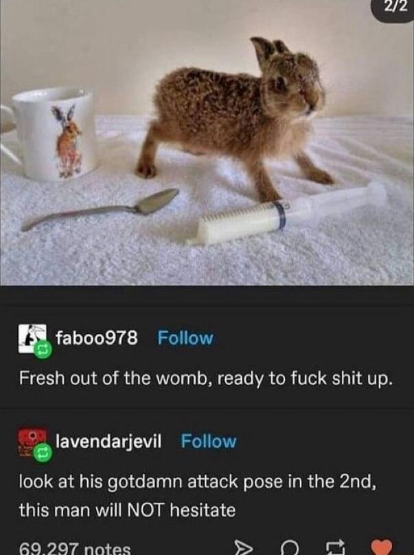 I8 fabooo78 Follow Fresh out of the womb ready to fuck shit up e lavendarjevil Follow look at his gotdamn attack pose in the 2nd this man will NOT hesitate O 207 notes S A e