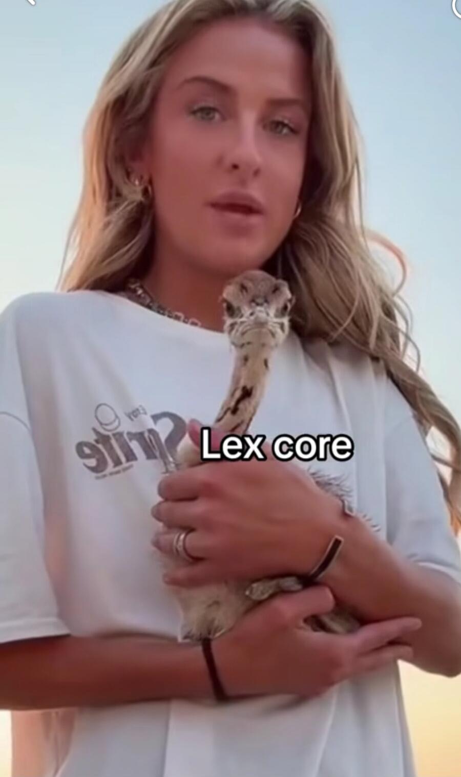 Lex core