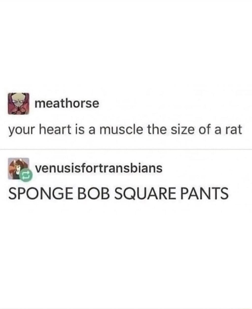 your heart is a muscle the size of a rat SPONGE BOB SQUARE PANTS