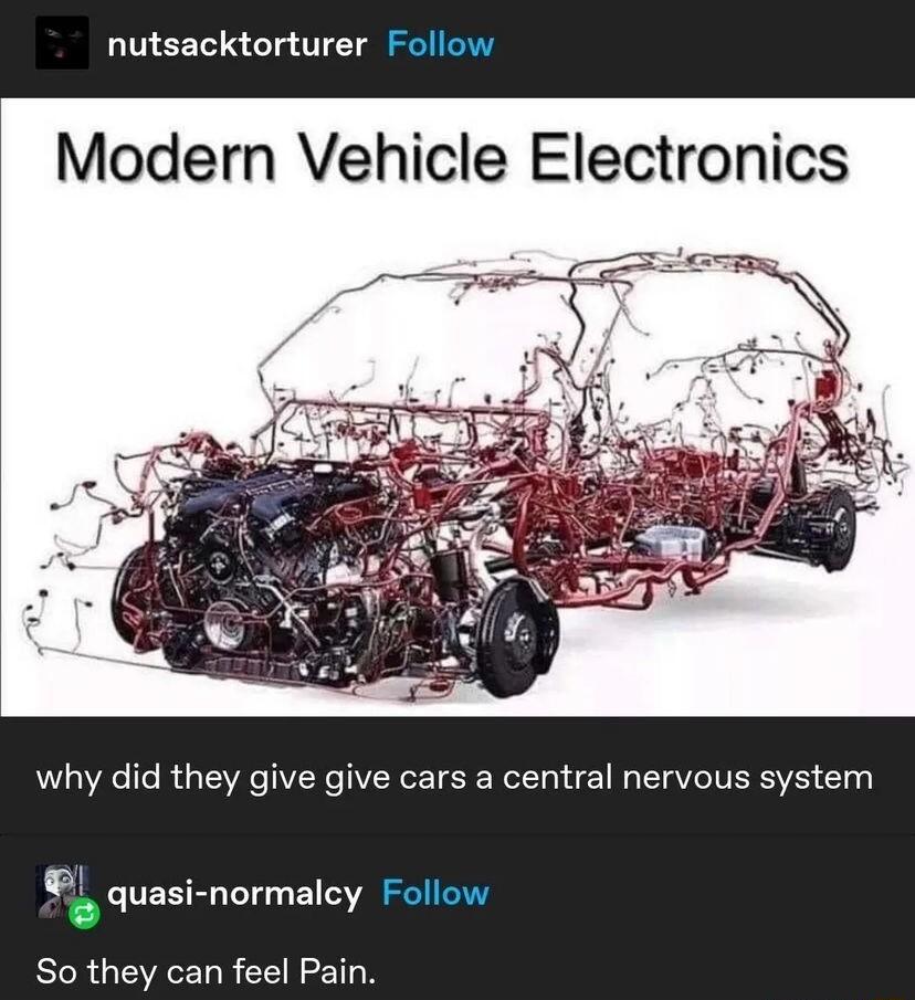 nutsacktorturer Follow Modern Vehicle Electronics why did they give give cars a central nervous system quasi normalcy Follow So they can feel Pain