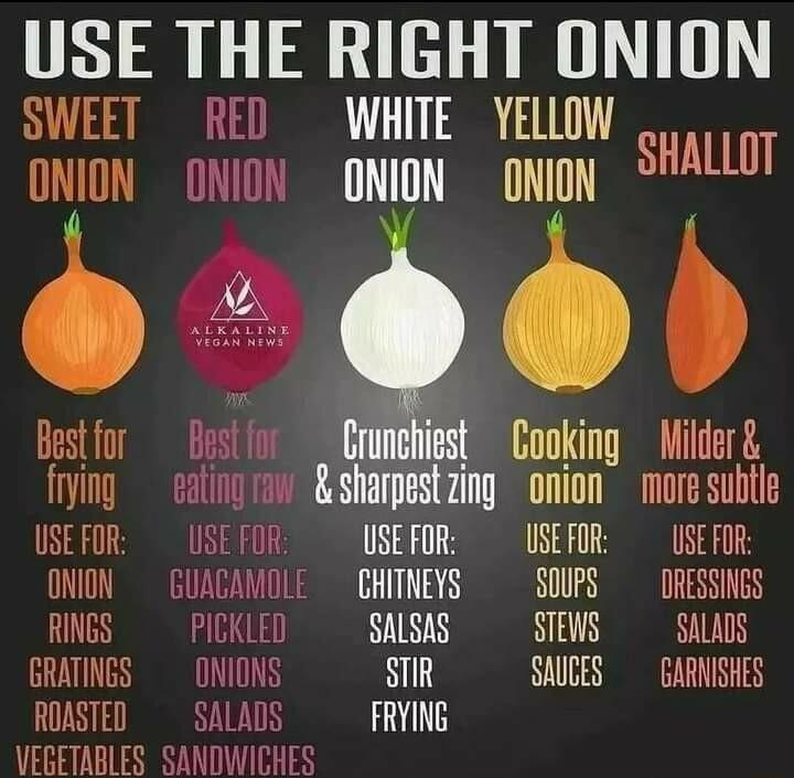 USE THE RIGHT ONION SWEET RED WHITE YELOW o o ONION ONION ONION ONION Bt Byl nmiiast Caoking Wik frying eating 1o sharpestzing onion more subtle USE FOR USE FOR USE FOR USEFOR USE FOR 10T 1 N 14 SOUPS DRESSINGS RINGS PICKLED SALSAS STEWS SALADS GRATINGS ONIONS STIR SAUCES GARNISHES ROASTED SALADS FRYING VEGETABLES SANDWICHES