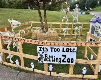 It's Too Late Petting Zoo