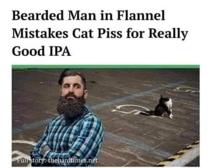 Bearded Man in Flannel Mistakes Cat Piss for Really Good IPA