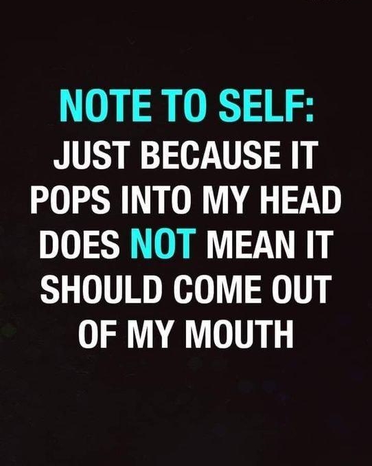 NOTE TO SELF JUST BECAUSE IT POPS INTO MY HEAD DOES NOT MEAN IT SHOULD COME OUT OF MY MOUTH