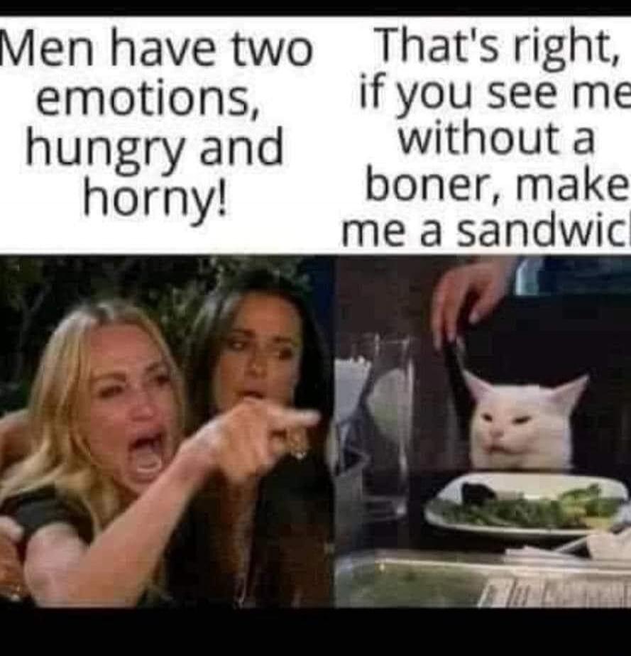 Men have two emotions, hungry and horny! That's right, if you see me without a boner, make me a sandwich