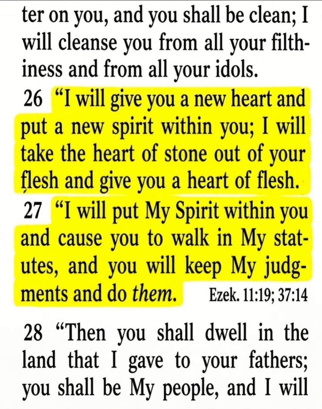 ter on you, and you shall be clean; I will cleanse you from all your filthiness and from all your idols.
26 