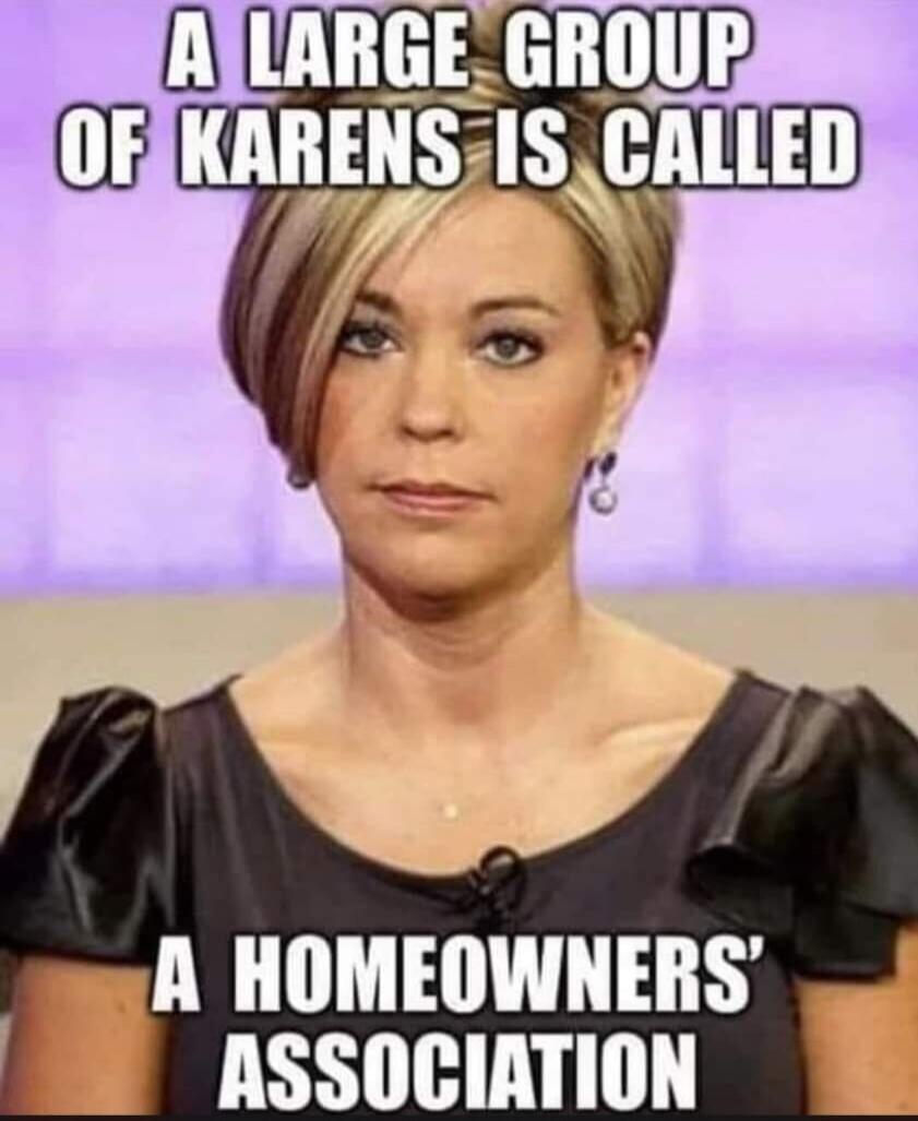 A large group of Karens is called a Homeowners' Association.