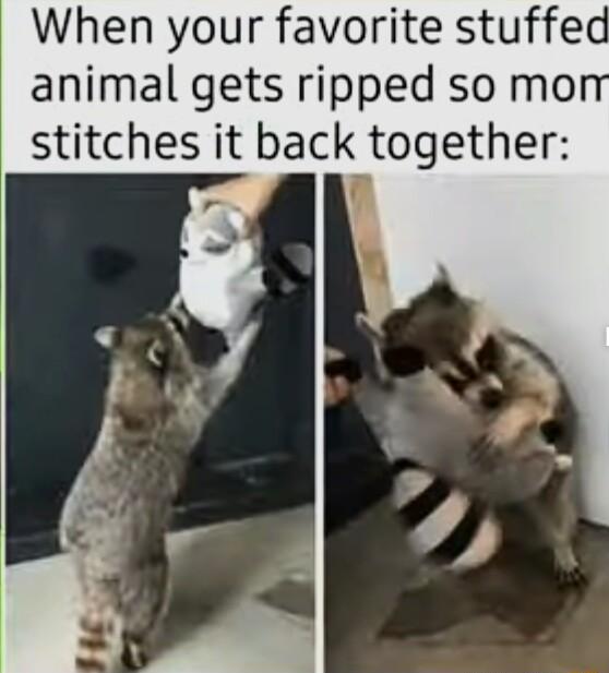 When your favorite stuffed animal gets ripped so mo stitches it back together