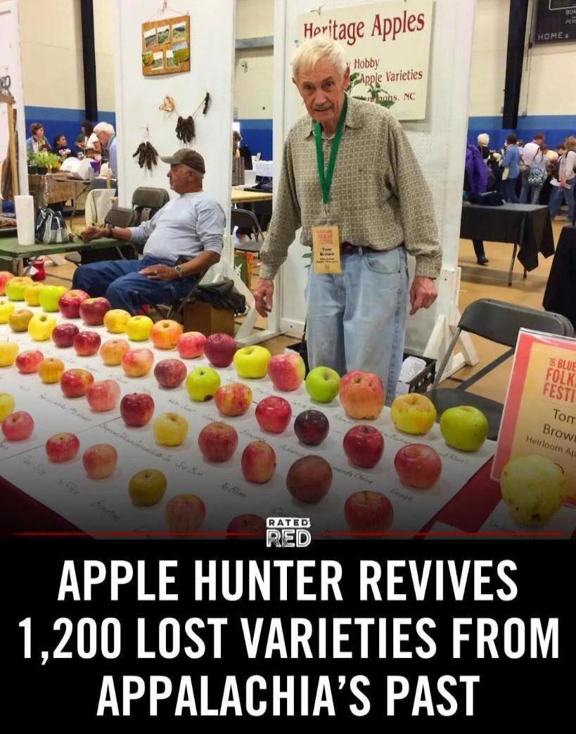 APPLE HUNTER REVIVES 1200 LOST VARIETIES FROM APPALACHINS PAST