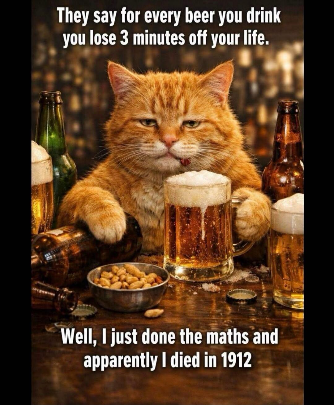 They say for every beer you drink you lose 3 minutes off your life. Well, I just done the maths and apparently I died in 1912.