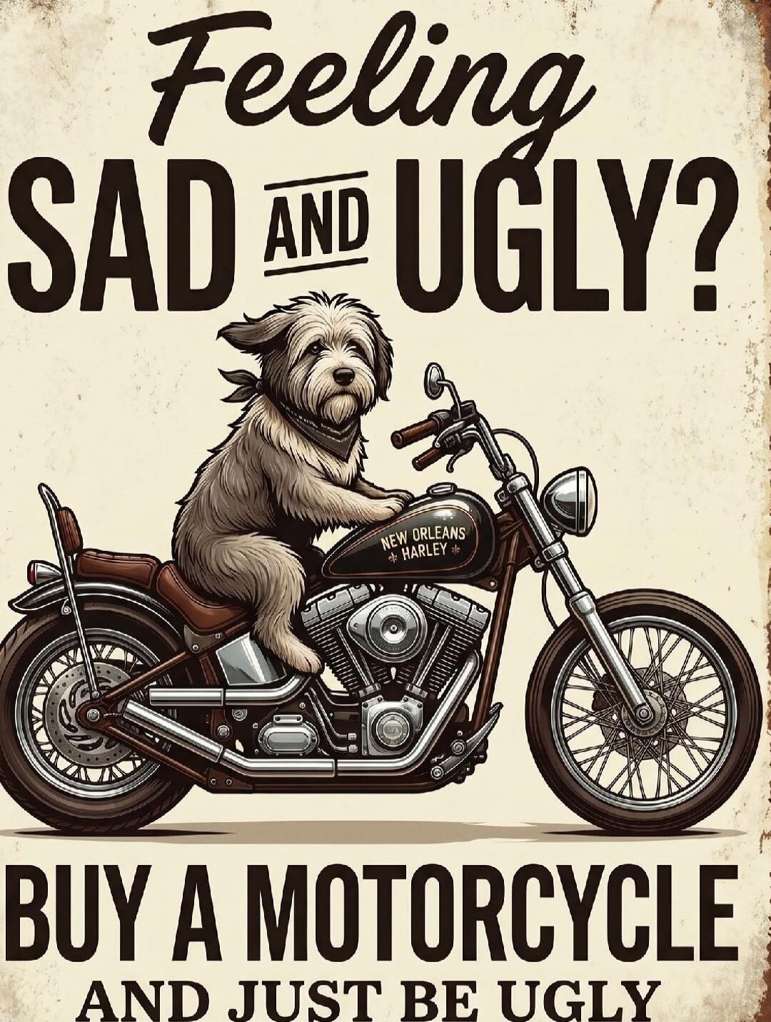 Feeling SAD AND UGLY? BUY A MOTORCYCLE AND JUST BE UGLY. NEW ORLEANS HARLEY