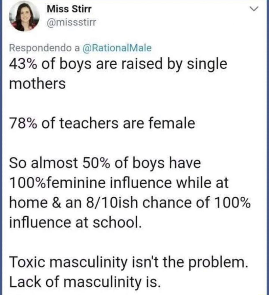 Miss Stirr v missstirr Respondendo a RationalMale 43 of boys are raised by single mothers 78 of teachers are female So almost 50 of boys have 100feminine influence while at home an 810ish chance of 100 influence at school Toxic masculinity isnt the problem Lack of masculinity is