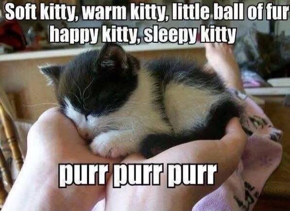 Soft kitty, warm kitty, little ball of fur happy kitty, sleepy kitty purr purr purr