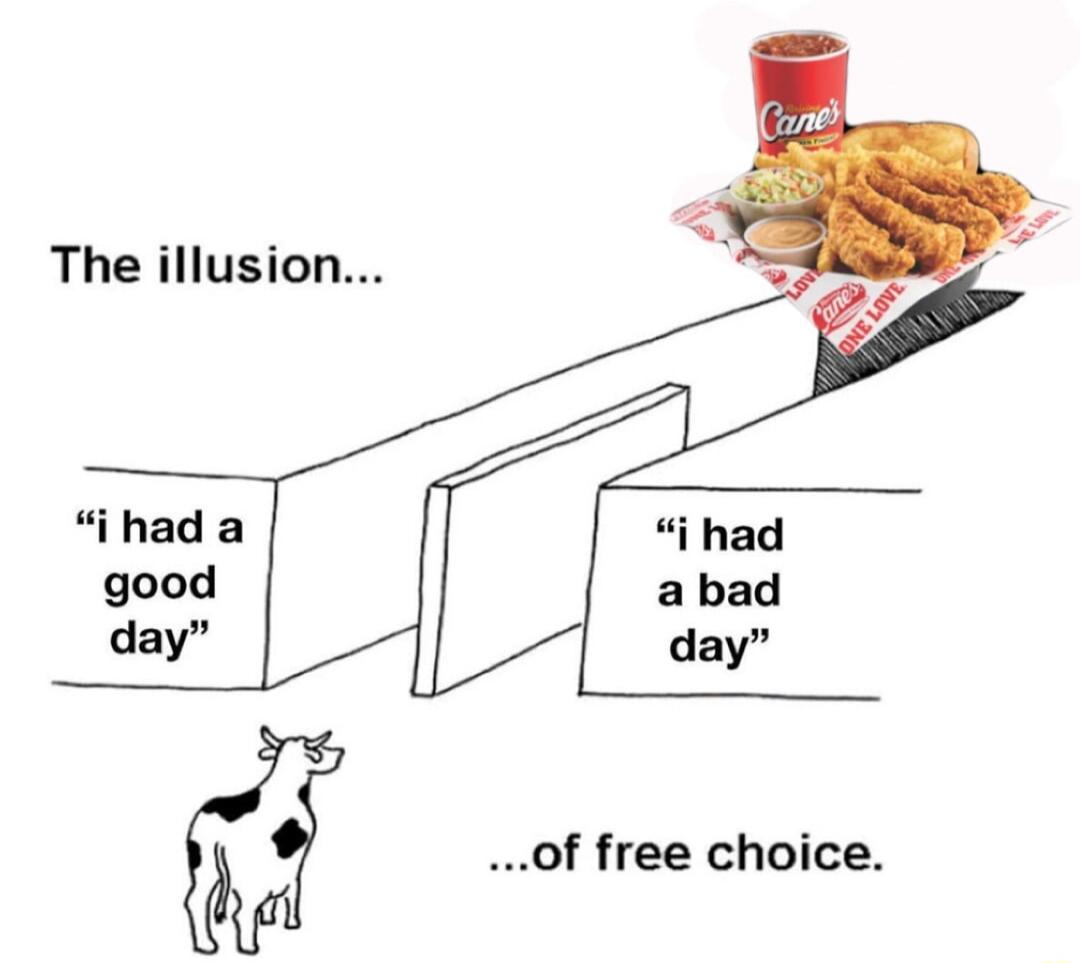 The illusion ihad a of free choice