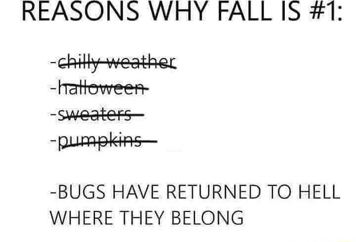 REASONS WHY FALL IS 1 chilty weather hattoween sweaters puRRpkiAS BUGS HAVE RETURNED TO HELL WHERE THEY BELONG