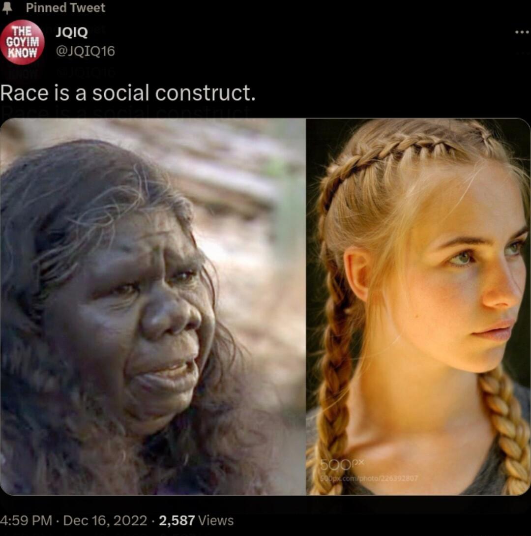 8 Pinned Tweet JaiQ 1QIQ16 Race is a social construct 450 PM Dec 16 2022 2587 Views