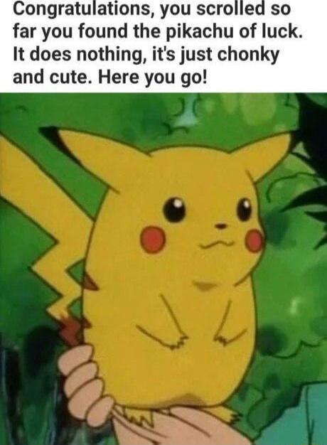 Congratulations you scrolled so far you found the pikachu of luck It does nothing its just chonky and cute Here you go