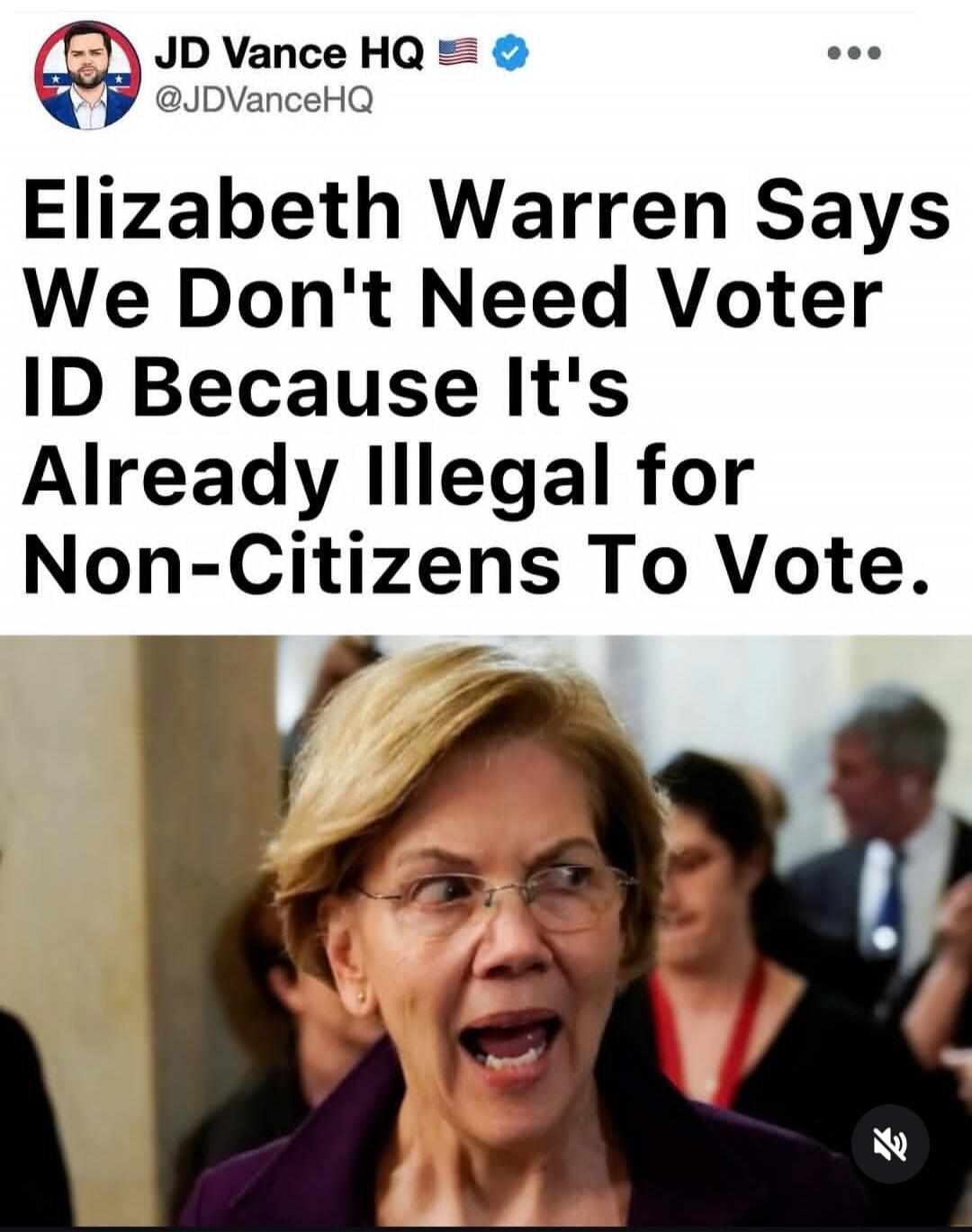 JD Vance HQ @JDVanceHQ Elizabeth Warren Says We Don't Need Voter ID Because It's Already Illegal for Non-Citizens To Vote.
