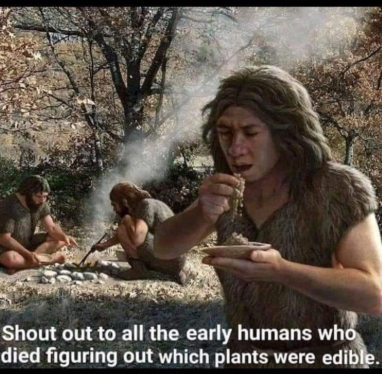 Shout out to all the early humans wh died figuring out which plants were edible