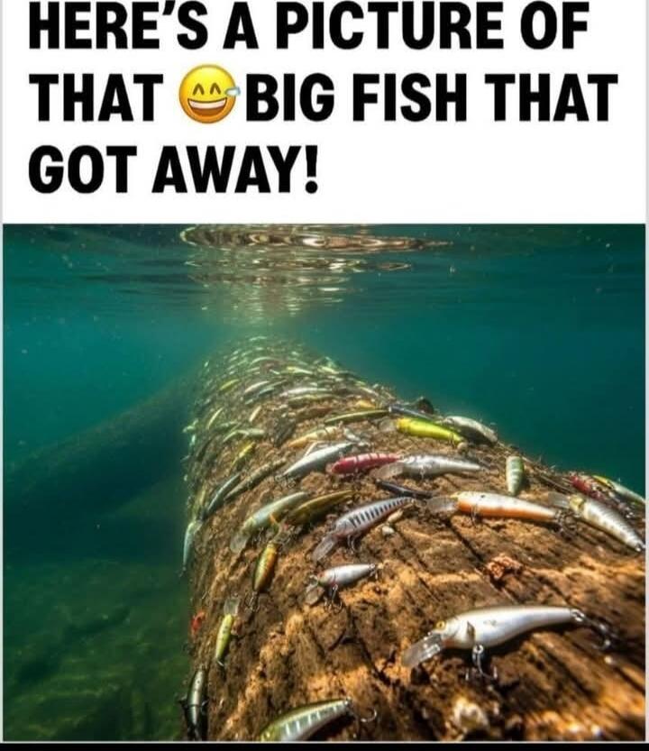 HERE'S A PICTURE OF THAT BIG FISH THAT GOT AWAY!