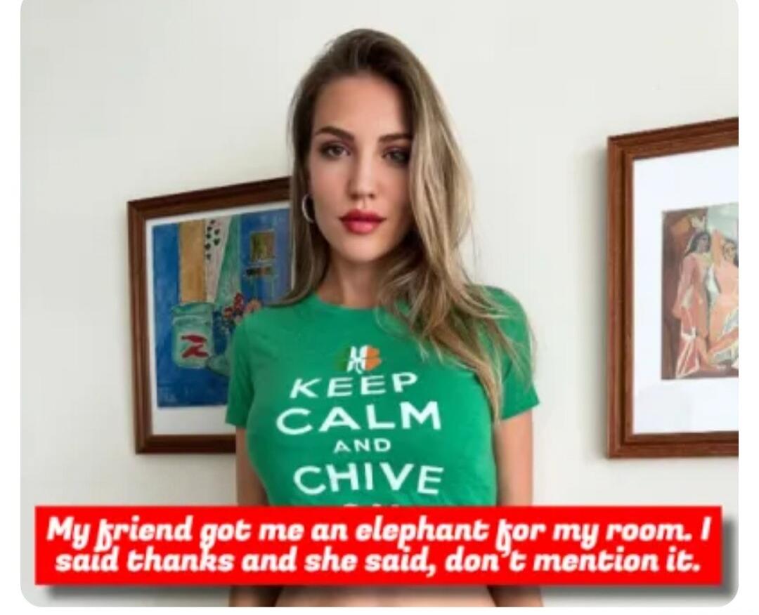 KEEP CALM AND CHIVE. My friend got me an elephant for my room. I said thanks and she said, don't mention it.